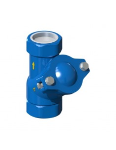 VALVOLA DI RITEGNO A PALLA Ø 2" IN GHISA